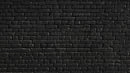 6x Balles en acier Z.50 Z-RAM pour Umarex T4E HDR50 TR50 cal. 0,50